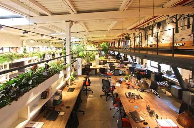 Văn phòng công ty giống một vườn cây